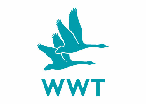 WWT