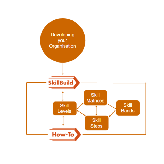 SkillBuild - building skills for organisational development