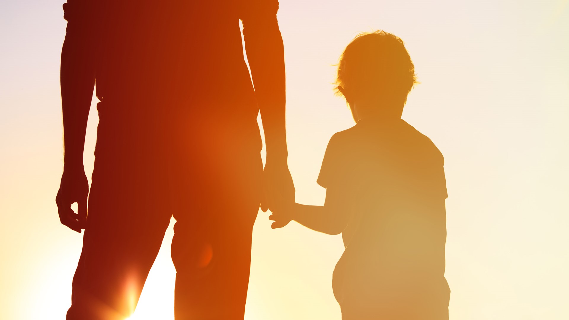 Silhouette Father Son Holding Hands