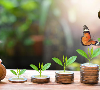 6 Coins And Plants